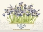 Picture of IMPERIAL IRISES HORIZONTAL