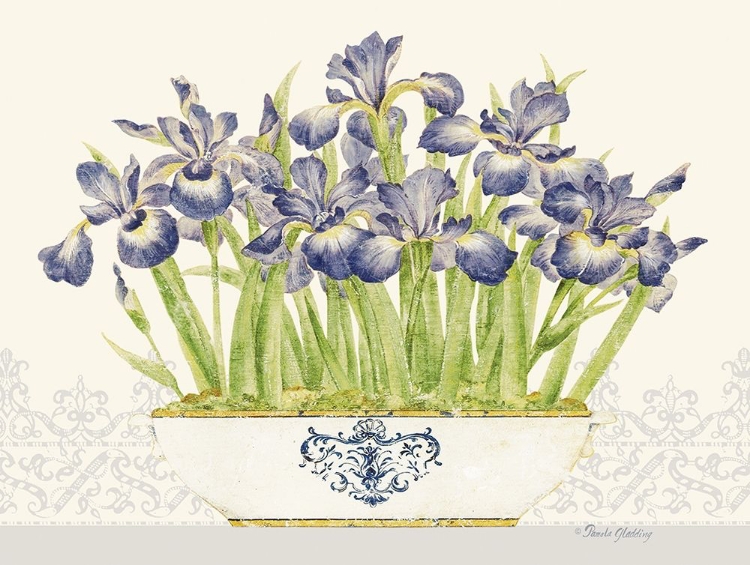 Picture of IMPERIAL IRISES HORIZONTAL