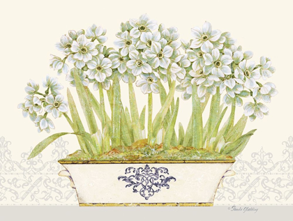 Picture of IMPERIAL NARCISSUS HORIZONTAL