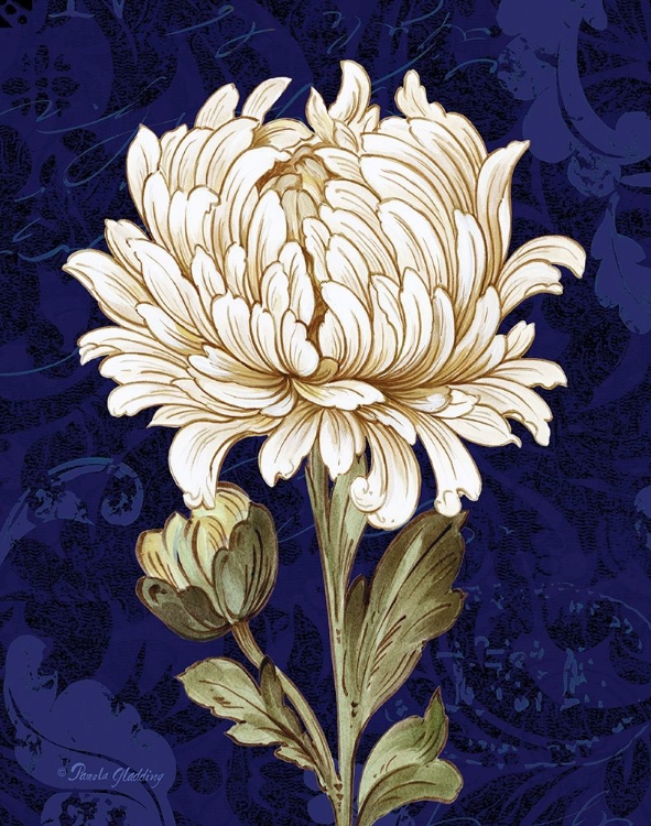 Picture of DAMASK CHRYSANTHEMUM