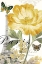 Picture of PARIS PEONY