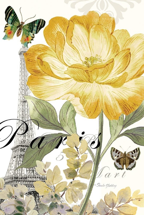 Picture of PARIS PEONY