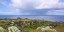 Picture of COASTAL WILDFLOWERS I