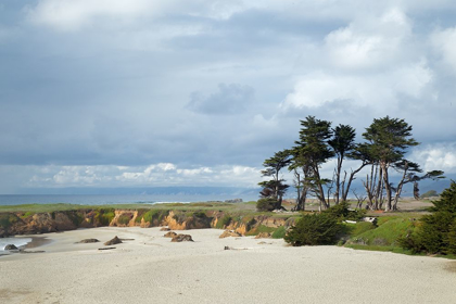 Picture of SAND-SEA AND SKY II