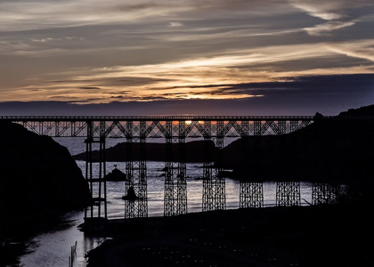 Picture of SUNSET SILHOUETTE I