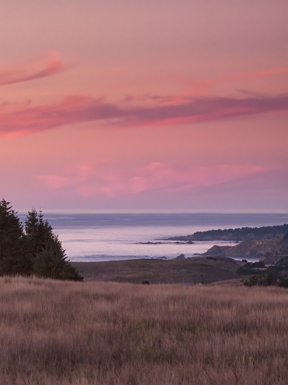 Picture of ROSY COASTAL SUNSET I