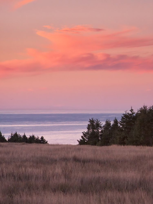 Picture of ROSY COASTAL SUNSET II