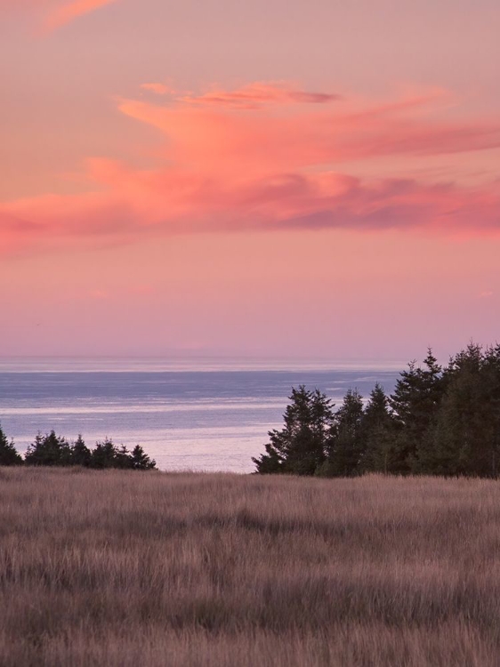 Picture of ROSY COASTAL SUNSET II