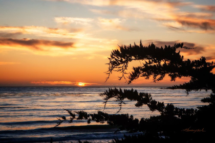Picture of SUNSET ON CARMEL BAY