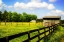 Picture of SPRING ON THE RANCH