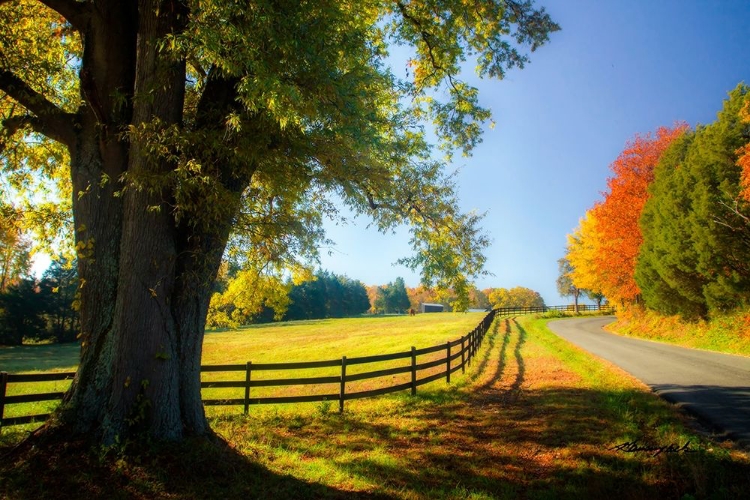 Picture of A VIRGINIA BYWAY