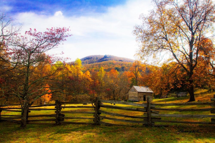 Picture of MOUNTAIN HOMESTEAD