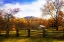 Picture of MOUNTAIN HOMESTEAD