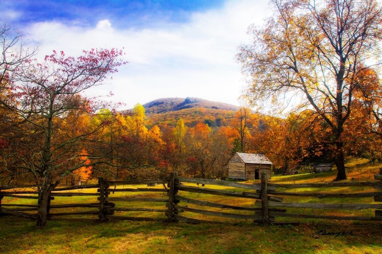 Picture of MOUNTAIN HOMESTEAD