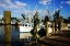 Picture of THE LADY ANN