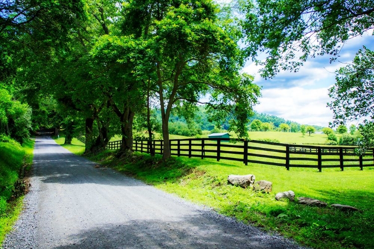 Picture of THE ROAD HOME