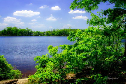 Picture of SWIFT CREEK LAKE