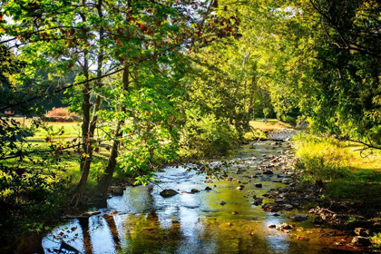 Picture of HAPPY LITTLE STREAM