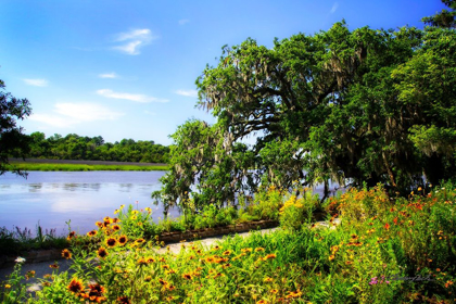 Picture of FLOWERS ALONG THE RIVER