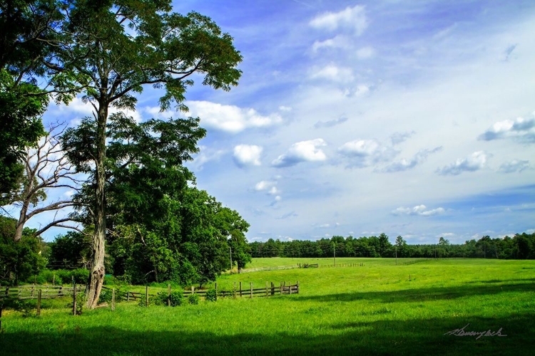 Picture of ABANDONED RANCH