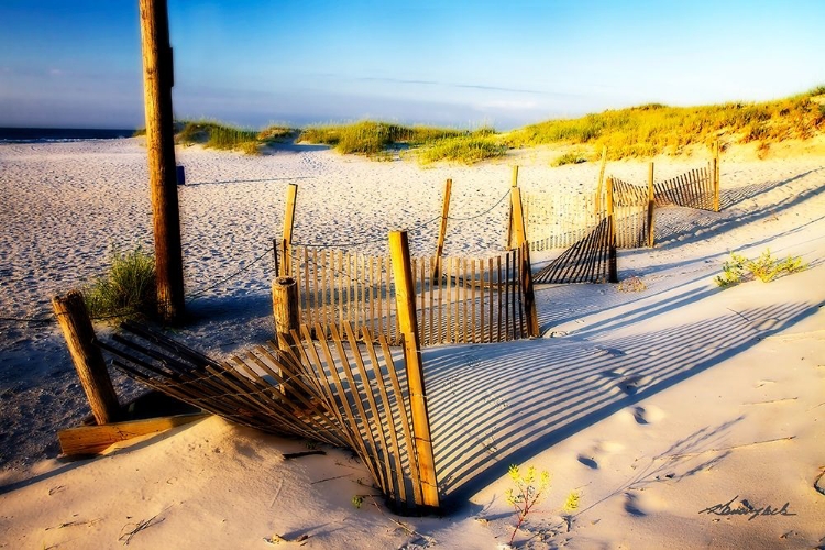 Picture of SAND AND SUNSHINE