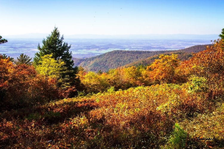 Picture of SKYLINE DRIVE 6