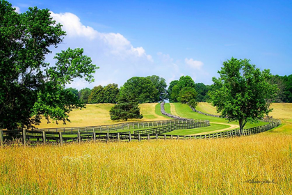 Picture of FARMING FIELDS