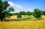 Picture of FARMING FIELDS