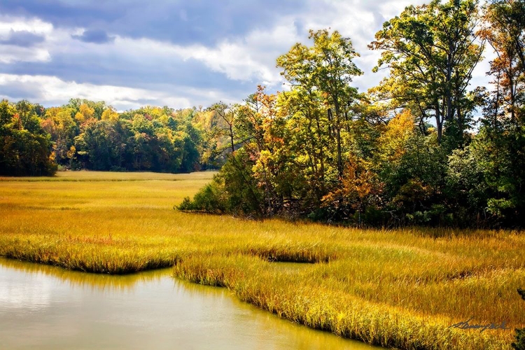 Picture of YORK RIVER DELTA