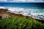 Picture of LA JOLLA SHORE