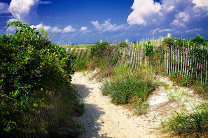 Picture of SANDY WALKWAY