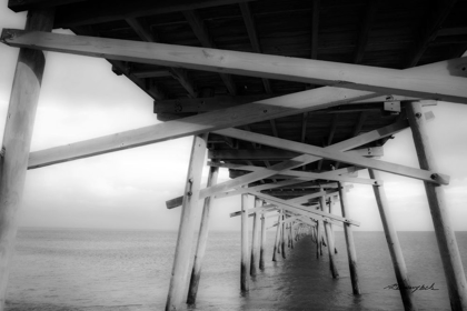 Picture of PIER