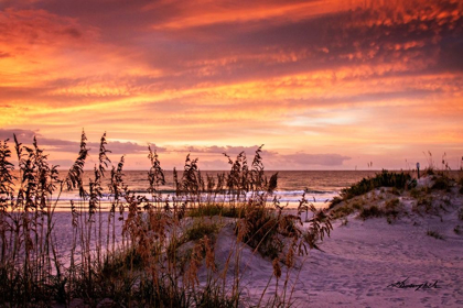 Picture of FIERY BEACH SUNRISE