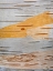 Picture of PAPER BIRCH BARK I
