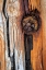 Picture of WOOD DETAILS I