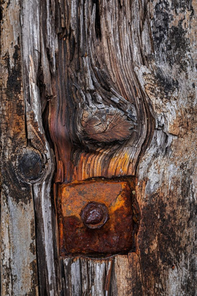 Picture of WOOD DETAILS II