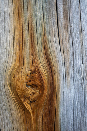 Picture of WOOD DETAILS III