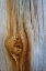 Picture of WOOD DETAILS III