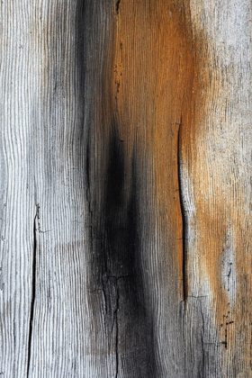 Picture of WOOD DETAILS IV