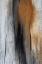 Picture of WOOD DETAILS IV