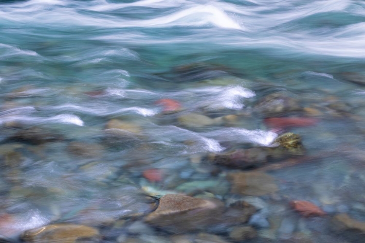 Picture of NF SKOKOMISH RIVER I