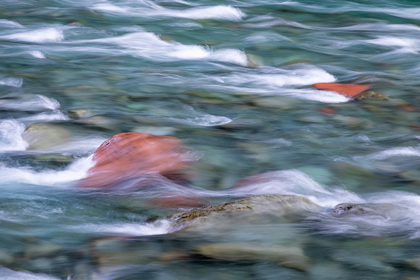 Picture of NF SKOKOMISH RIVER II