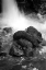 Picture of ROCK SCULPTURE