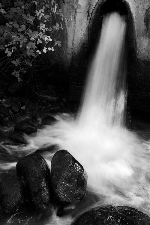 Picture of TUSCAN FALLS