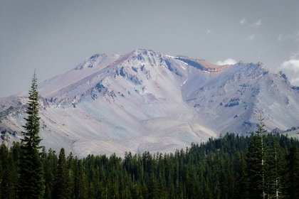 Picture of SHASTA MAJESTY I