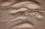 Picture of NET ART I