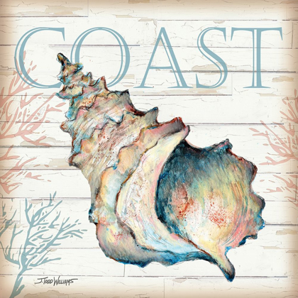 Picture of COAST SHELL