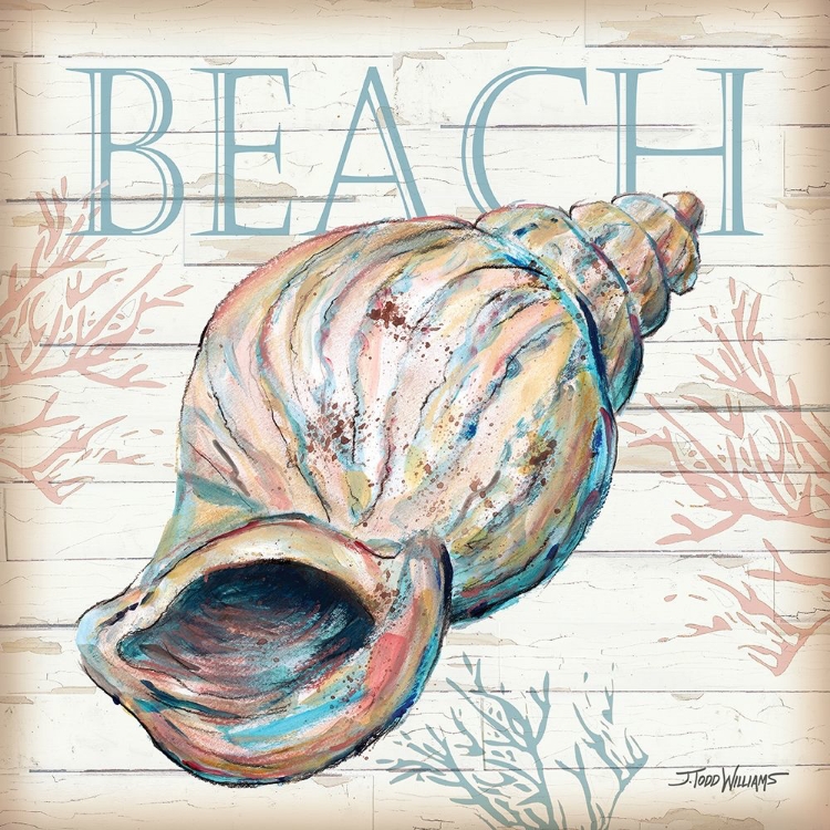 Picture of BEACH SHELL