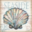 Picture of SEASIDE SHELL