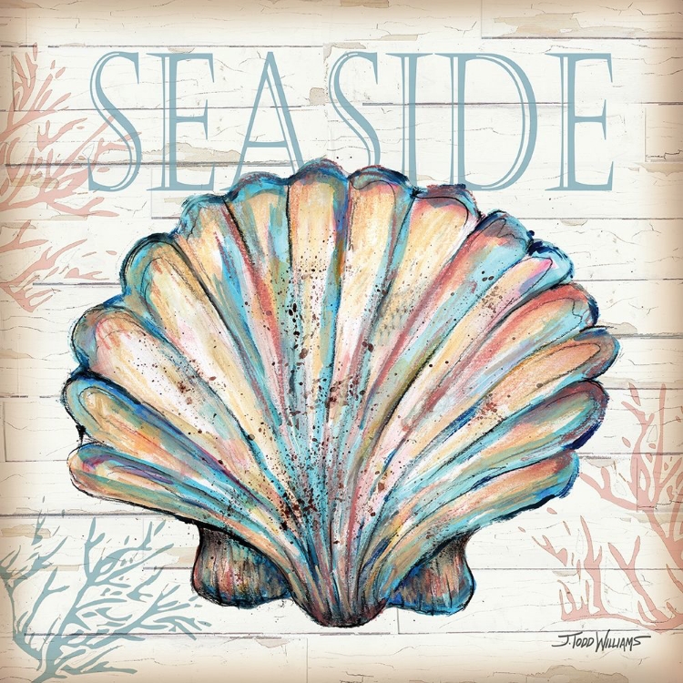 Picture of SEASIDE SHELL